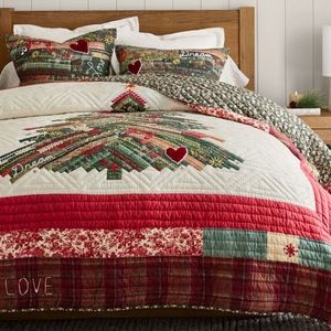 In SEARCH Of Winter Dreams